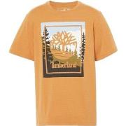Lyhythihainen t-paita Timberland  212160  EU S