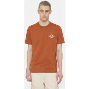 T-paidat & Poolot Dickies  Ss ruston tee  EU S