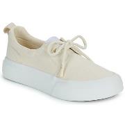 Kengät Armistice  ARCO ONE W  38