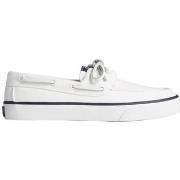 Tennarit Sperry Top-Sider  BAHAMA 2.0  36