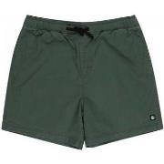 Shortsit & Bermuda-shortsit Element  Valley twill  EU S