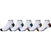 Sukat Globe  Ingles ankle sock 5 pack  Yksi Koko