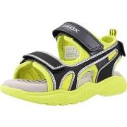 Poikien sandaalit Geox  J SANDAL SPLUSH BOY  25