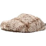 Kengät Steve Madden  Zapatillas Hogar Mujer Modèle Vesa  36