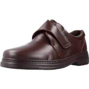 Kengät Pinoso's  34634  39