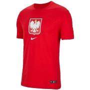 Lyhythihainen t-paita Nike  Poland Evergreen Crest Tee  EU L