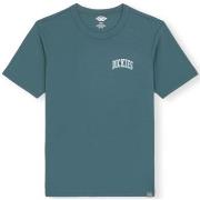 T-paidat & Poolot Dickies  Aitkin Chest Logo T-Shirt - Green  EU S