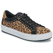 Kengät Ikks  SNEAKERS LEOPAR  36