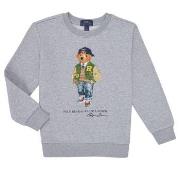 Svetari Polo Ralph Lauren  LSCNM4-KNIT SHIRTS-SWEATSHIRT  6 vuotta