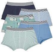 Bokserit Petit Bateau  LOT BOXER X5  3 vuotta