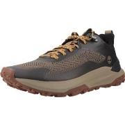 Tennarit Timberland  MOTION ACCESS  42