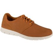 Kengät Timberland  Graydon Oxford Low  42