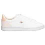 Tennarit Lacoste  76078  36