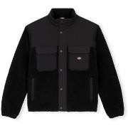 Paksu takki Dickies  Pinesdale Jacket - Black  EU M