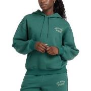 Svetari New Balance  GRAPHIC FLEECE HOODIE  EU S