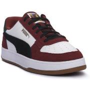 Tennarit Puma  01 CAVEN 2  43