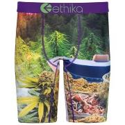 Bokserit Ethika  -  EU M