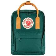 Reppu Fjallraven  FJÄLLRÄVEN Kanken Mini - Arctic Green Spicy  Yksi Ko...