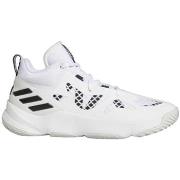 Tennarit adidas  Pro N3Xt 2021  44 2/3