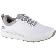 Kengät Skechers  Go Golf Elite 4 Victory  44