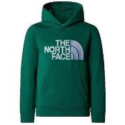 Neulepusero The North Face  Drew Peak P/O  EU XXL