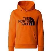 Neulepusero The North Face  Drew Peak P/O  EU XXL