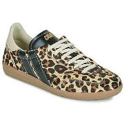 Kengät Caval  LEO OBSESSION  36