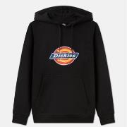 Svetari Dickies  ICON LOGO HOODIE W  EU M