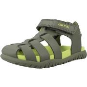 Poikien sandaalit Geox  B SANDAL FUSBETTO BO  24