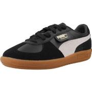 Tennarit Puma  PALERMO LTH JR  36