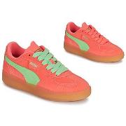 Kengät Puma  Palermo Moda Xtra Gum Wns  38