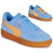 Kengät Puma  Palermo Moda Xtra Gum Wns  37