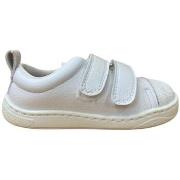 Tennarit Zapy  FLAMENCO Deportiva respetuosa Blanco  34