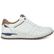 Kengät Kangaroos  SNEAKERS  843  44