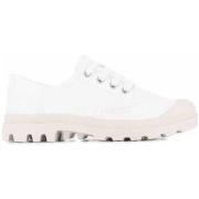 Tennarit Palladium  Pampa oxford  36