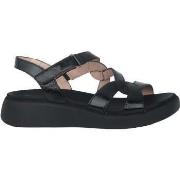 Kengät Wonders  Cordelia  36