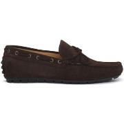 Kengät Exton  TERRA CAMOSCIO  42