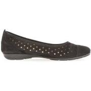 Balleriinat Gabor  24.169.17  38