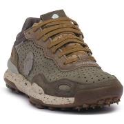 Tennarit Satorisan  CHACRONA LASER WILD GRASS  42