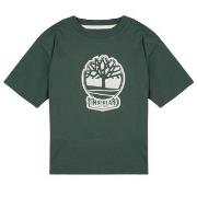 Lyhythihainen t-paita Timberland  T60422  14 vuotta