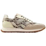 Kengät Hispanitas  SNEAKERS  PHV253812  37