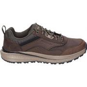 Kävelykengät Skechers  210925-COC  41