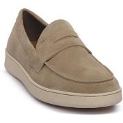 Kengät Frau  SUEDE AVENA PANNA  41