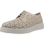 Kengät Pitillos  10383P  37