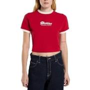 T-paidat & Poolot Dickies  DK0A4Z8I0ER1 LEWISTOWN RINGER  EU S