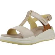 Sandaalit Carmela  162259S  36