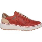 Tennarit Pikolinos  Arenas  36