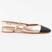 Balleriinat Montevita  102532  38
