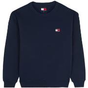 Svetari Tommy Jeans  DM0DM20660  EU 3XL