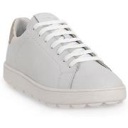 Tennarit Geox  1327 SPHERICA  38